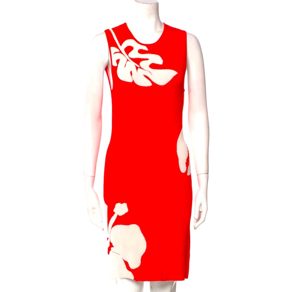 Staud Printed Knee Dress